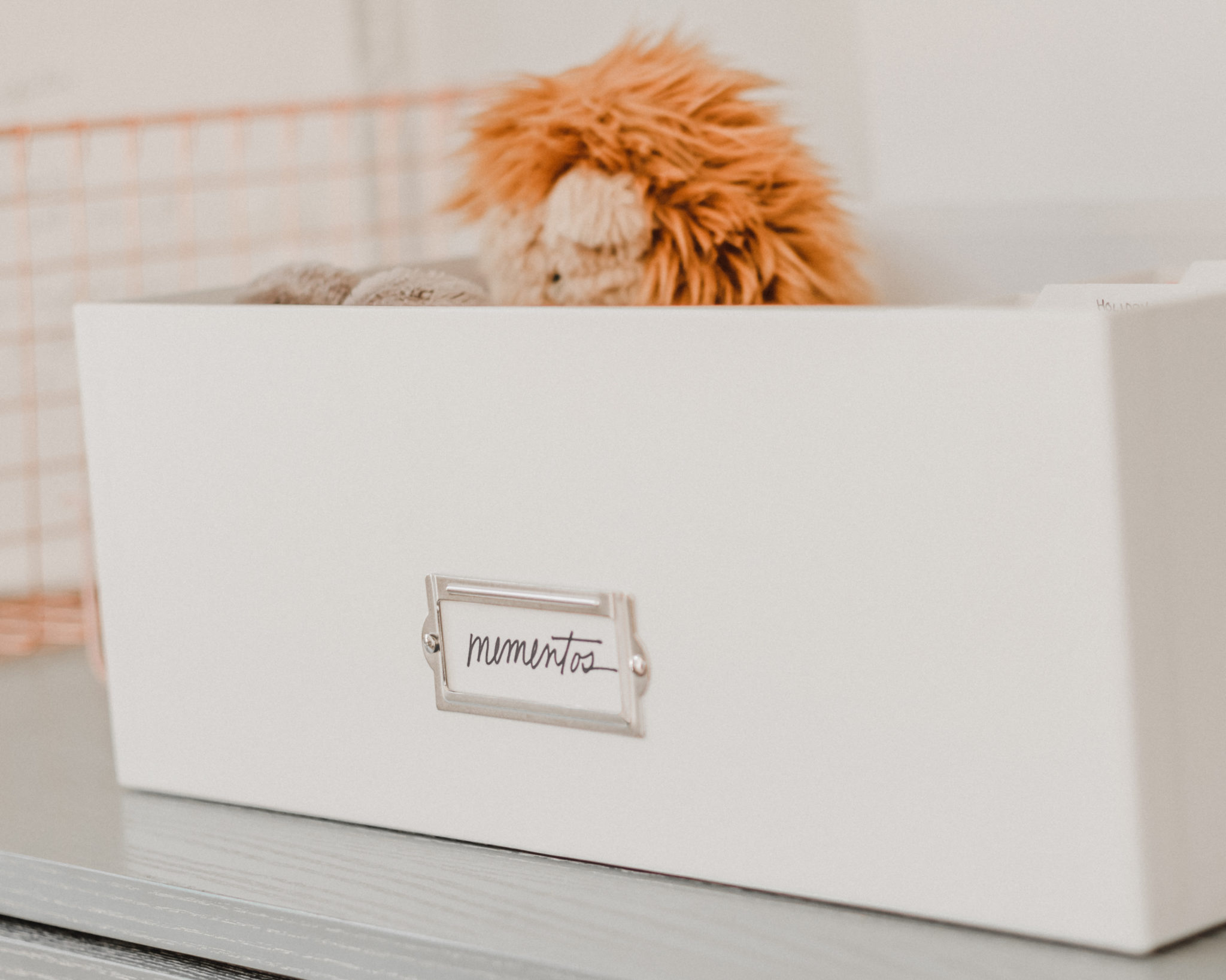 The Perfect Photo and Memento Storage Simply Spaced Professional