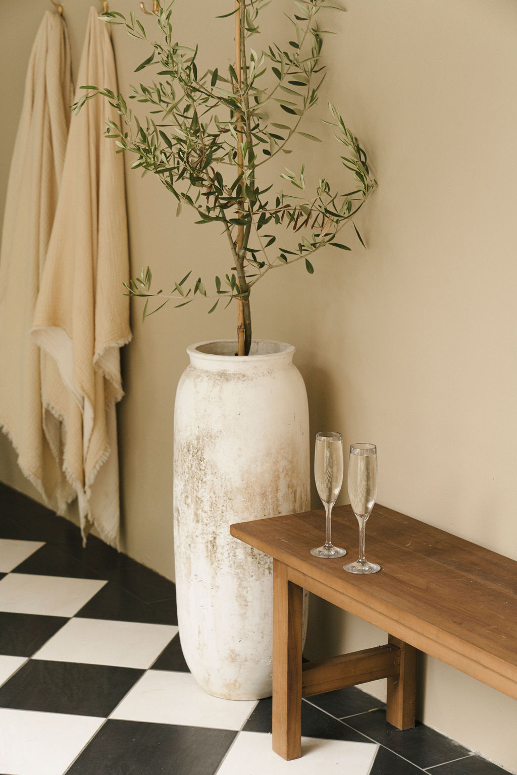 In a chic entry, a tall white vase cradles a flourishing olive tree, while two gleaming champagne flutes rest on a rustic wooden bench. Subtle elegance and natural tones create a serene atmosphere.